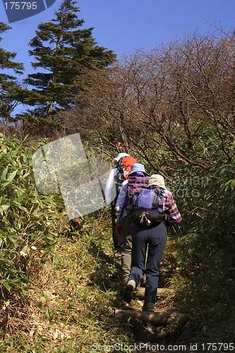 Image of Hiking