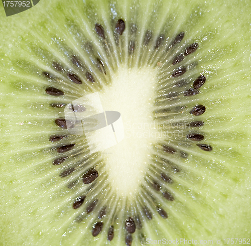 Image of Abstract photo of a kiwi