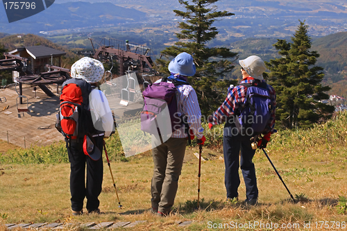 Image of Outdoor joy