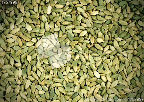 Image of green spices