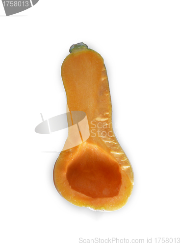 Image of Butternut squash, whole and halved