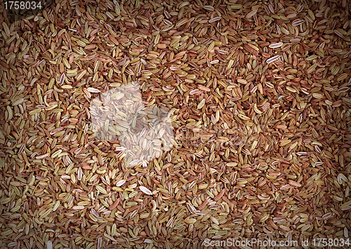 Image of Cumin seeds