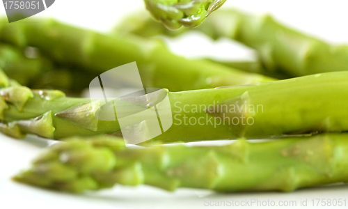 Image of Steamed asparagus