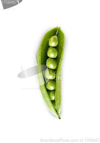 Image of fresh green peas isolated on a white background.