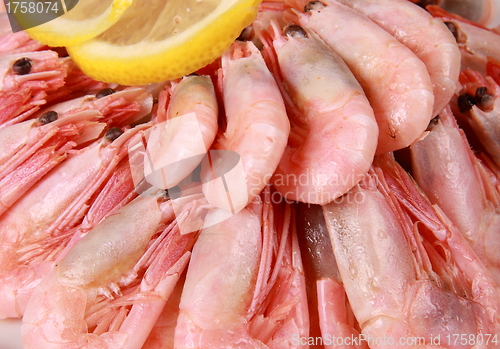 Image of shrimp with lemon close up