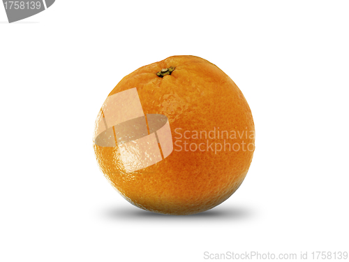 Image of tangerine isolated on a white background