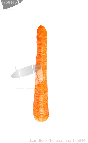 Image of one carrot isolated