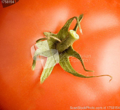 Image of red tomatoe texture, background , close up