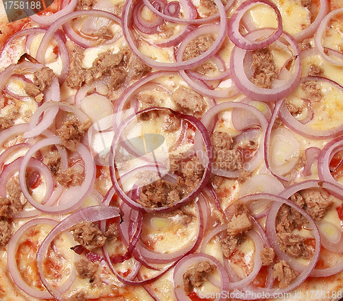 Image of An onion pizza background