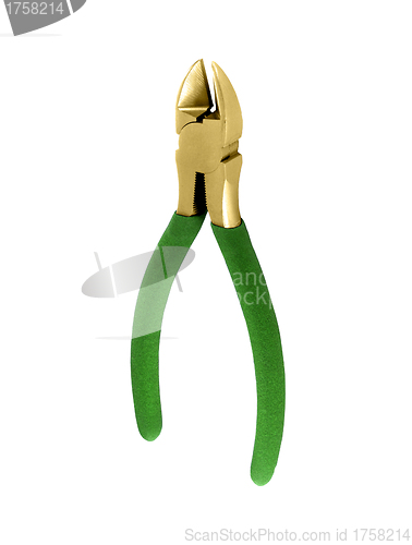 Image of pruner on the white background