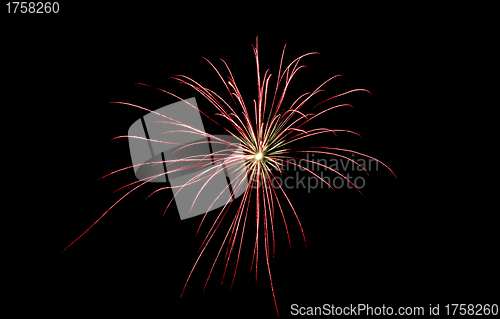 Image of an red firework explosion in the night sky