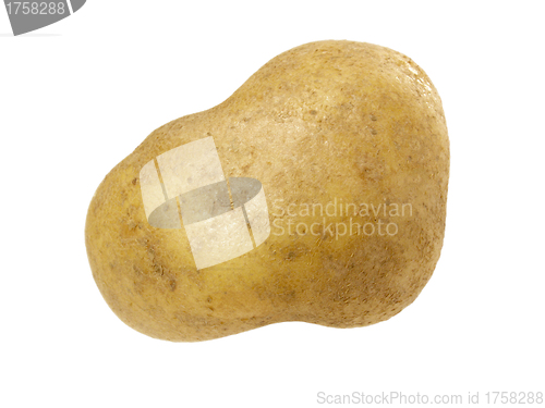 Image of New potato isolated on white background close up