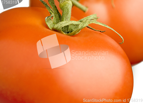 Image of perfect fresh red tomatoes with tomato on background
