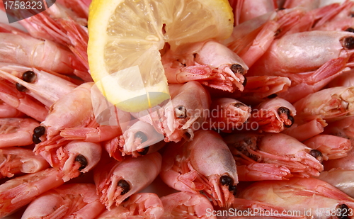 Image of shrimp with lemon close up