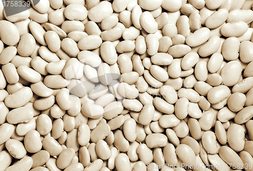 Image of beans background pattern