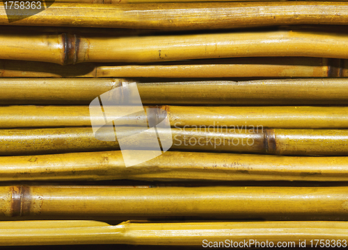 Image of beautiful Japanese bamboo background