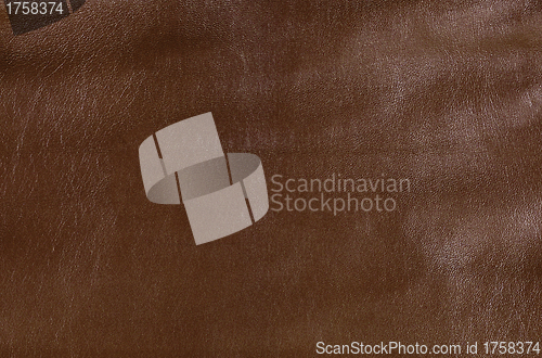 Image of brown leather texture