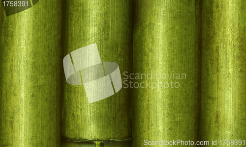 Image of bamboo background