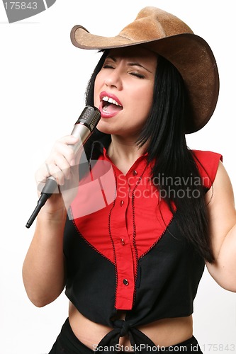 Image of Country Music Singer