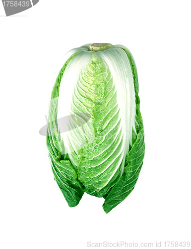 Image of cabbage
