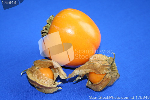 Image of Fruits