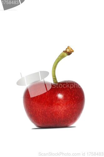 Image of A ripe, juicy cherry