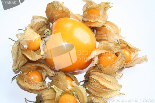 Image of Persimon and physalis