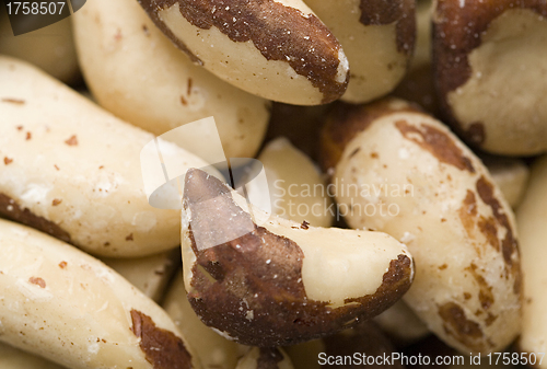 Image of Extreme close-up image of peanuts, background image