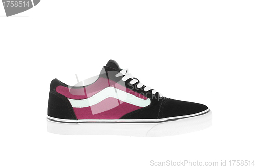 Image of one sneaker isolated on white background