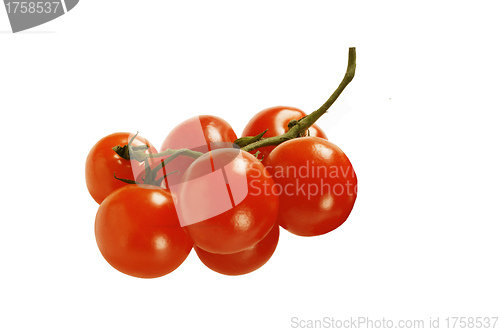 Image of Red Tomato
