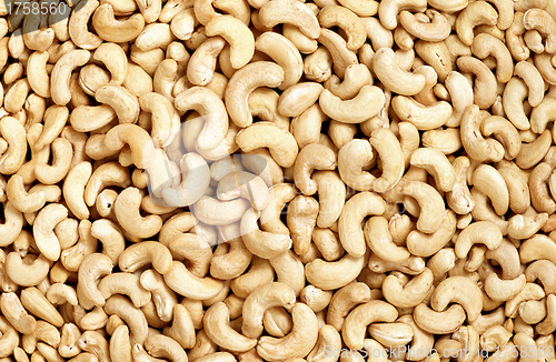Image of Cashew nuts closeup photo