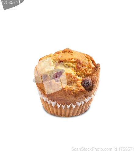 Image of Fresh chocolate chip muffin close up.