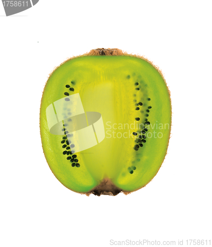 Image of Half a kiwi fruit over white.