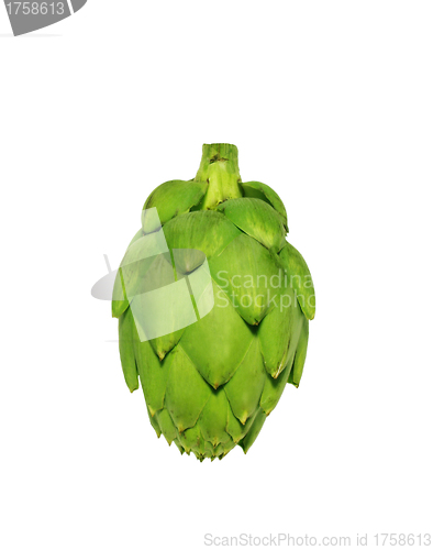 Image of Ripe green artichoke vegetable isolated on white background