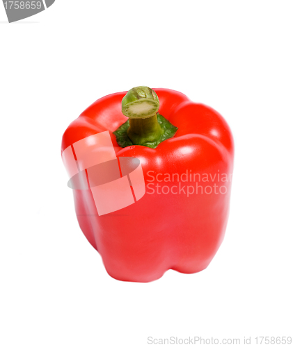 Image of Red Bell Pepper over white background
