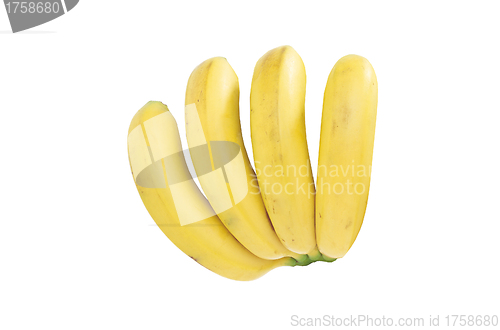 Image of Bunch of bananas isolated on white background