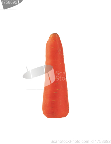 Image of Fresh red carrot on white background