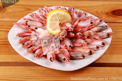 Image of seafood shrimp bake in white plate