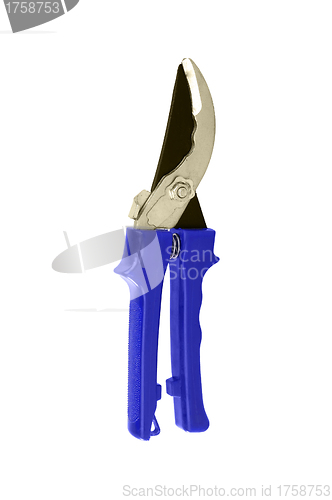 Image of blue garden shears isolated on a white background.