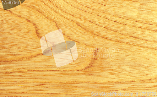 Image of Texture of wood pattern background
