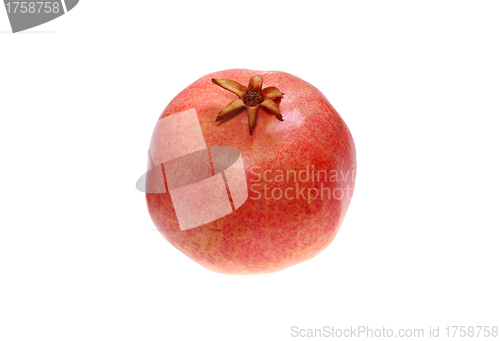 Image of pomegranates on a white background