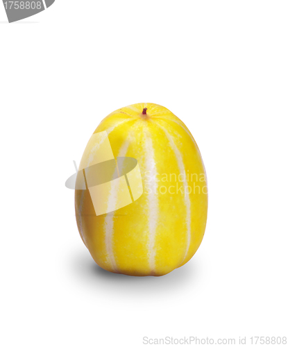 Image of melon isolated