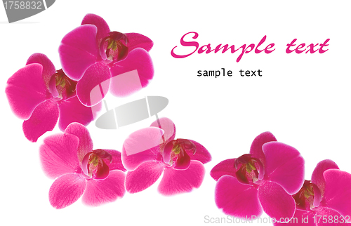 Image of empty post card, isolated on illustration background