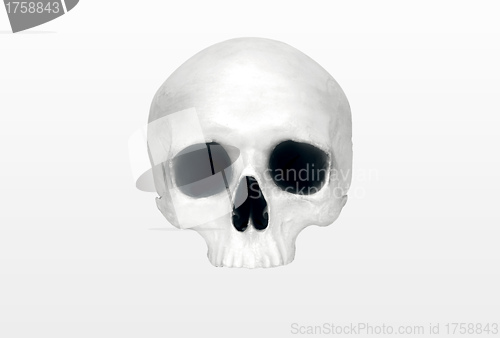 Image of close up of a skeleton on white background