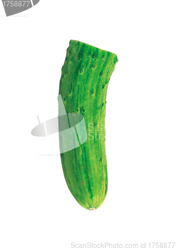 Image of fresh cucumber