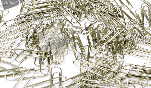 Image of paper clips on white background