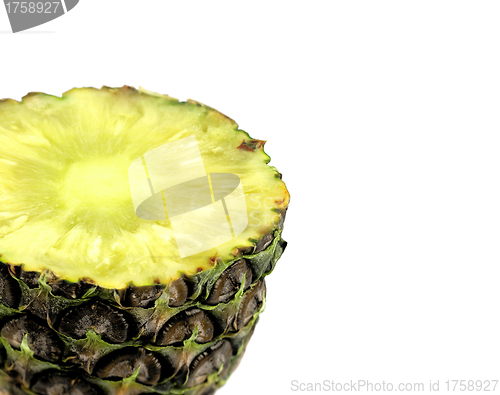 Image of Pineapple slice isolated