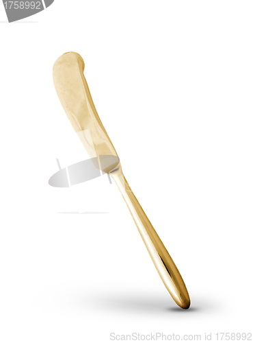 Image of Golden butterknife