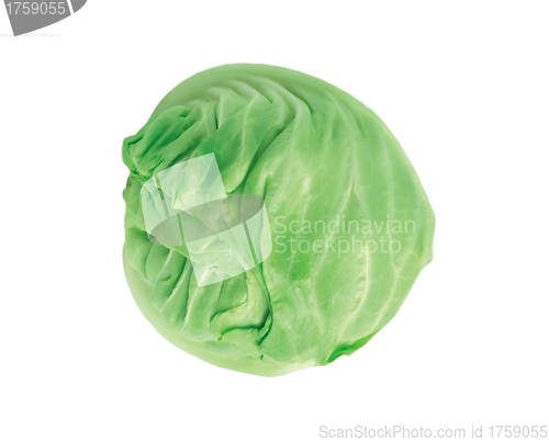 Image of Fresh green cabbage vegetable