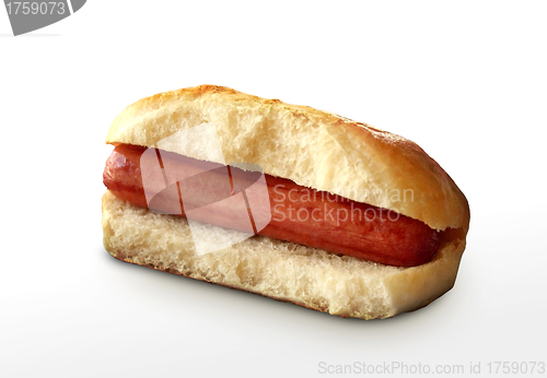 Image of Hot dog